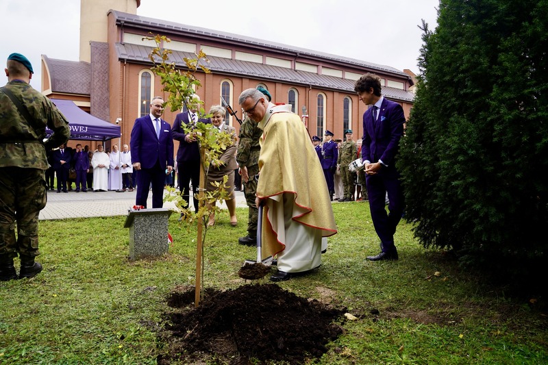 548828601_1587314188917154_1175744993608824154_n