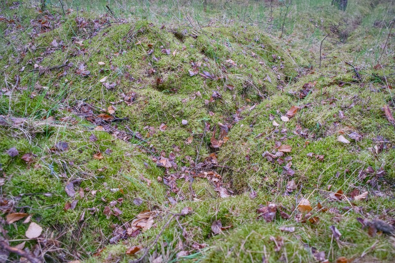 Prace poszukiwawcze na terenie niemieckiego, męskiego podobozu KL Ravensbrück – Kalisz Pomorski