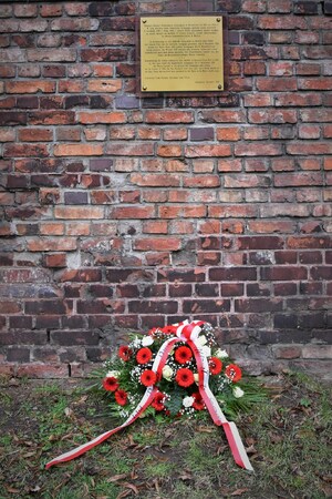 Międzynarodowy Dzień Pamięci o Ofiarach Holokaustu – Szczecin, 27 stycznia 2023
